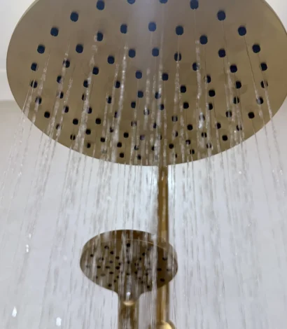 Shower Head